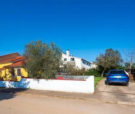 Cozy Abazi * Пула